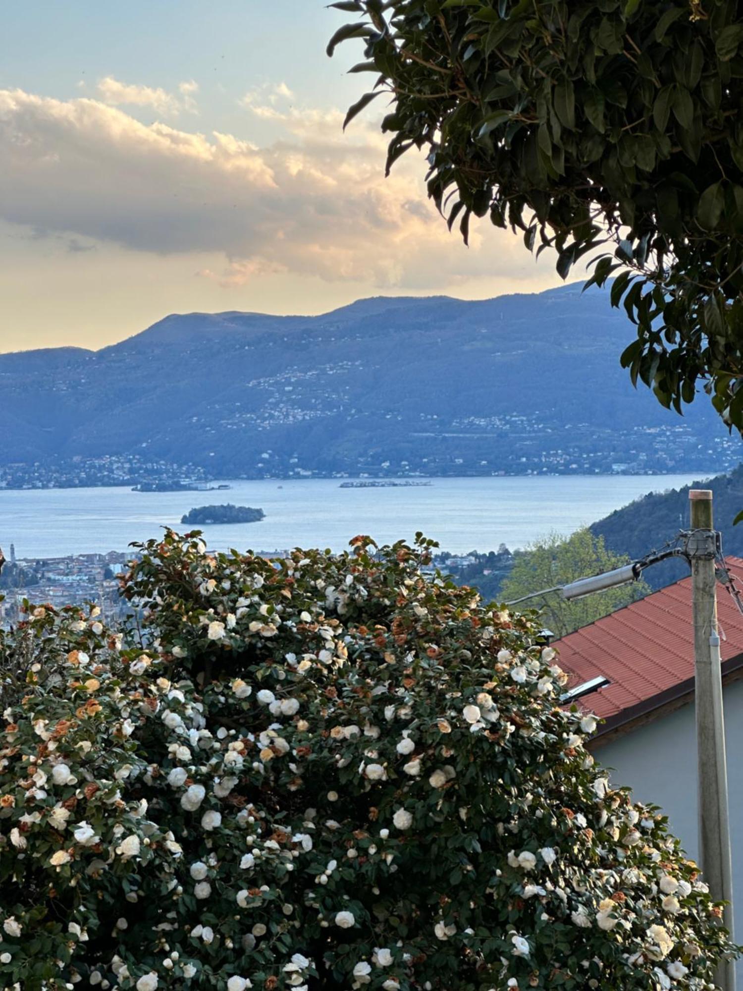 Villa Simonetta Bee Eksteriør billede